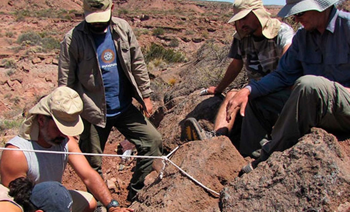 Apesteguía dinosaurio.jpg