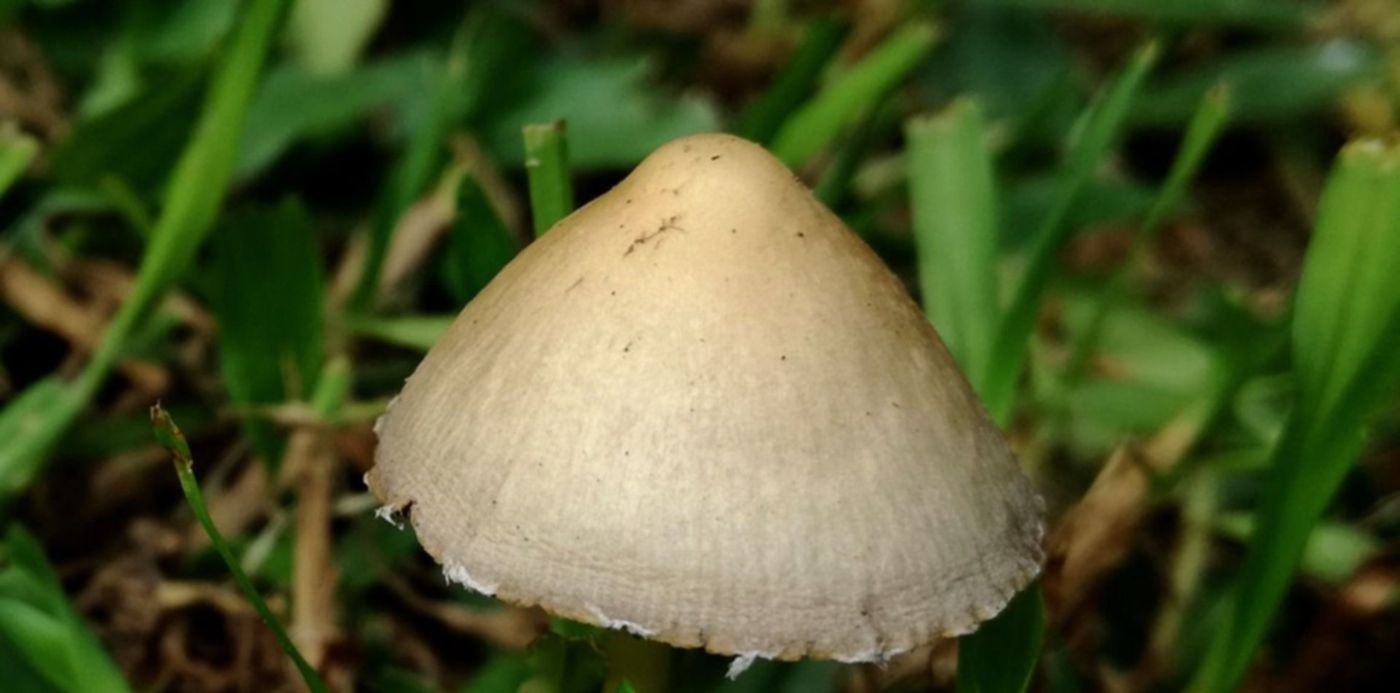 1526420029202.jpg?&cw=1920&ch=950