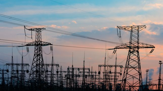 el gobierno dio un paso clave para privatizar una empresa esencial para el servicio electrico en todo el pais