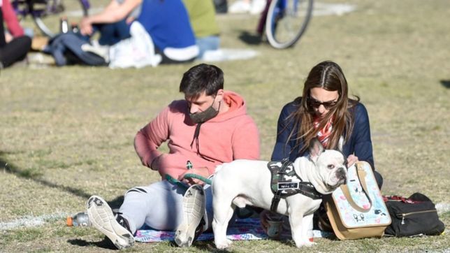 en el amba hay menos casos de covid-19 y ya piensan en una etapa de protocolos intensos