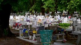 el concejo deliberante designo al presidente del nuevo ente del cementerio de la plata