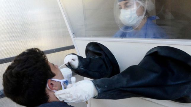 coronavirus en argentina: confirman 13 muertes y 593 nuevos casos en las ultimas 24 horas