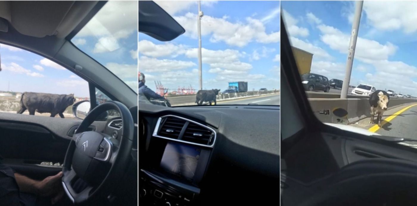 1553538078453.jpg?y=0&scaleY=1&ow=1500&oh=742&x=15&width=1472&height=736&rotate=0&scaleX=1&&cw=1920&ch=950