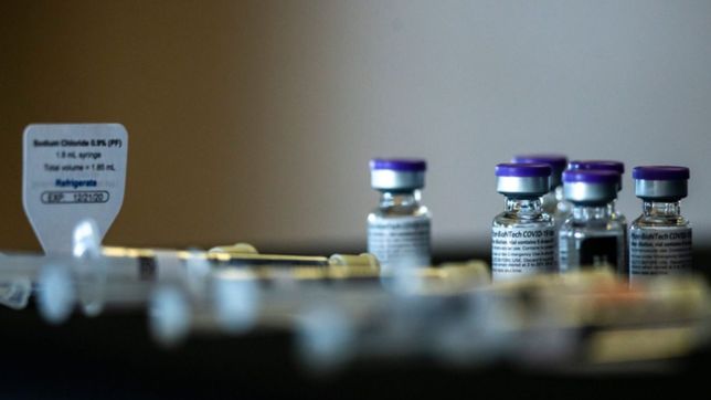 inglaterra donara 100 millones de vacunas: ¿que chances tiene argentina de recibir alguna?