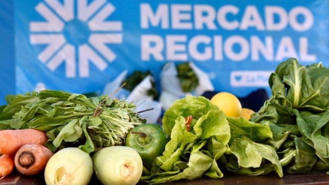 el mercado central renovo sus precios con ofertas y promociones para toda la semana