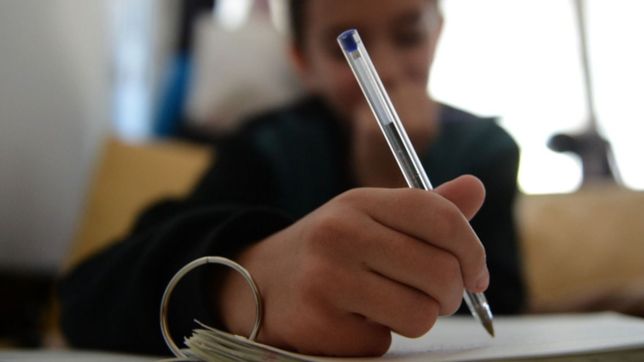 confirman que no se calificara a los alumnos de escuelas publicas y privadas de la plata