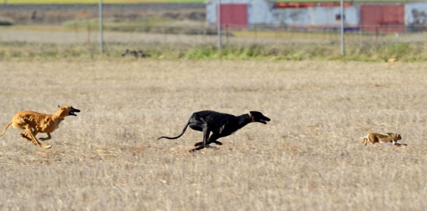 1630888591869.jpg?x=8&y=184&width=1485&height=742&rotate=0&scaleX=1&scaleY=1&ow=1500&oh=1125&&cw=1920&ch=950