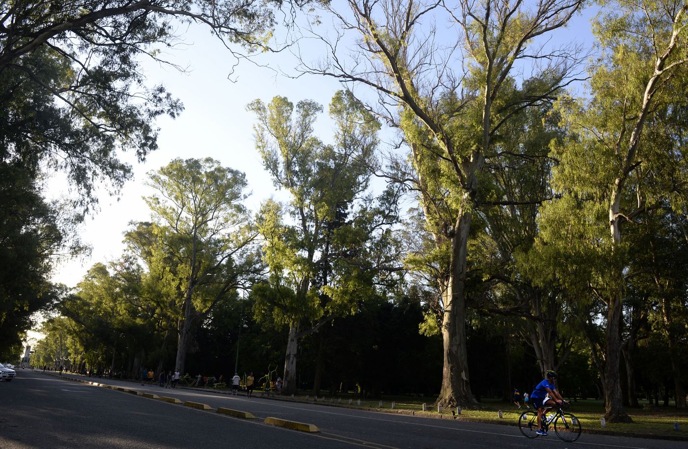 Bosque de la Ciudad de La Plata13