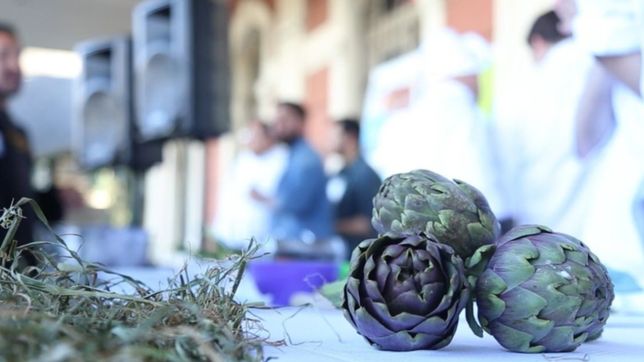 comienza la ultima semana de la fiesta del alcaucil platense virtual