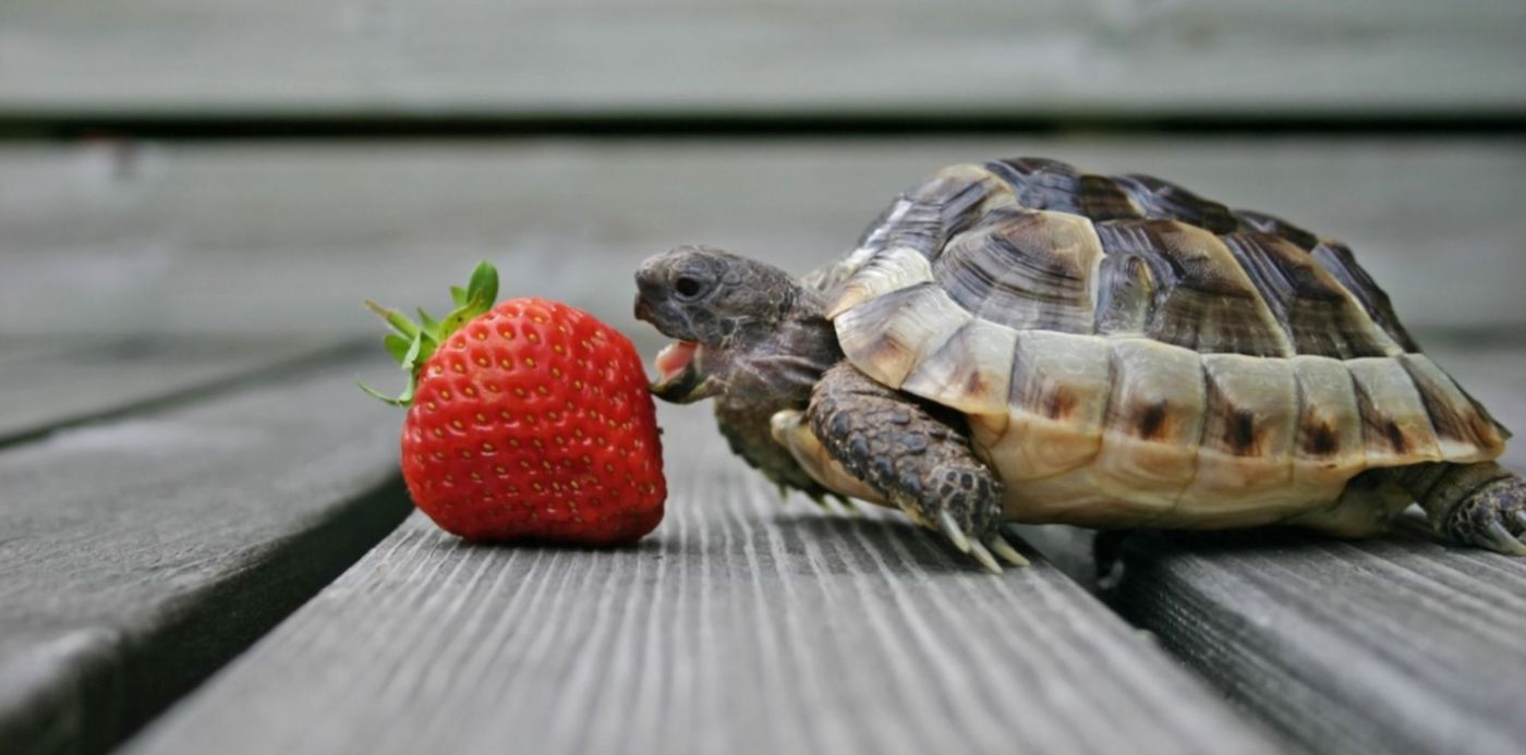 1558011711315.jpg?scaleX=1&scaleY=1&ow=1500&oh=843&rotate=0&x=4&y=86&width=1492&height=746&&cw=1920&ch=950