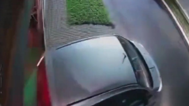 destrozaron un porton, balearon a un perro y golpearon a una mujer en un fallido robo