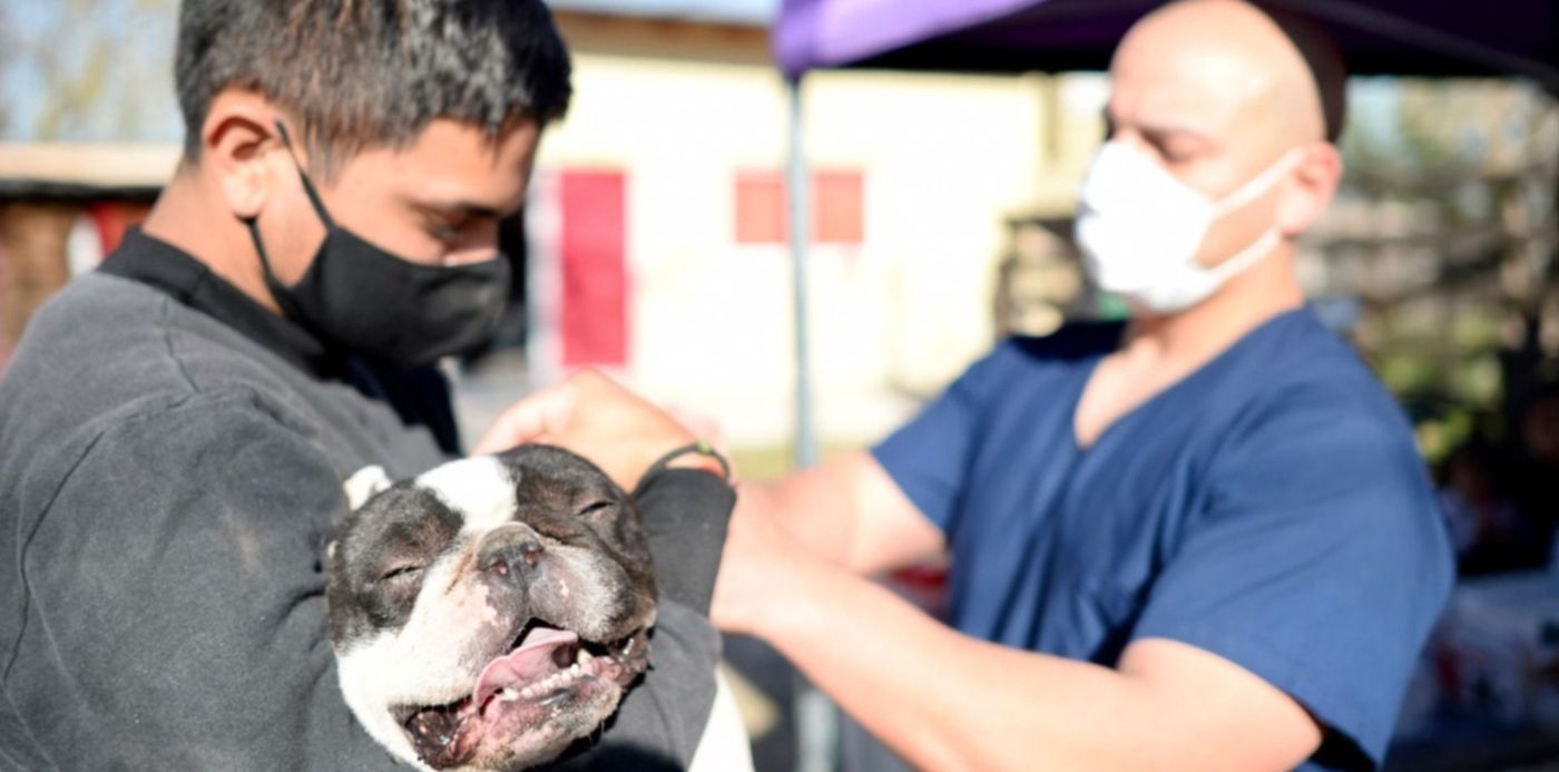 1627052250784.jpg?x=4&y=176&width=1463&height=732&rotate=0&scaleX=1&scaleY=1&ow=1500&oh=972&&cw=1920&ch=950