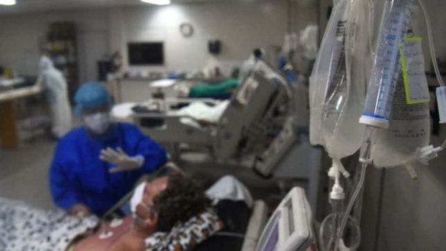 cientificas descubren un hongo que causa infeccion en pacientes graves con coronavirus