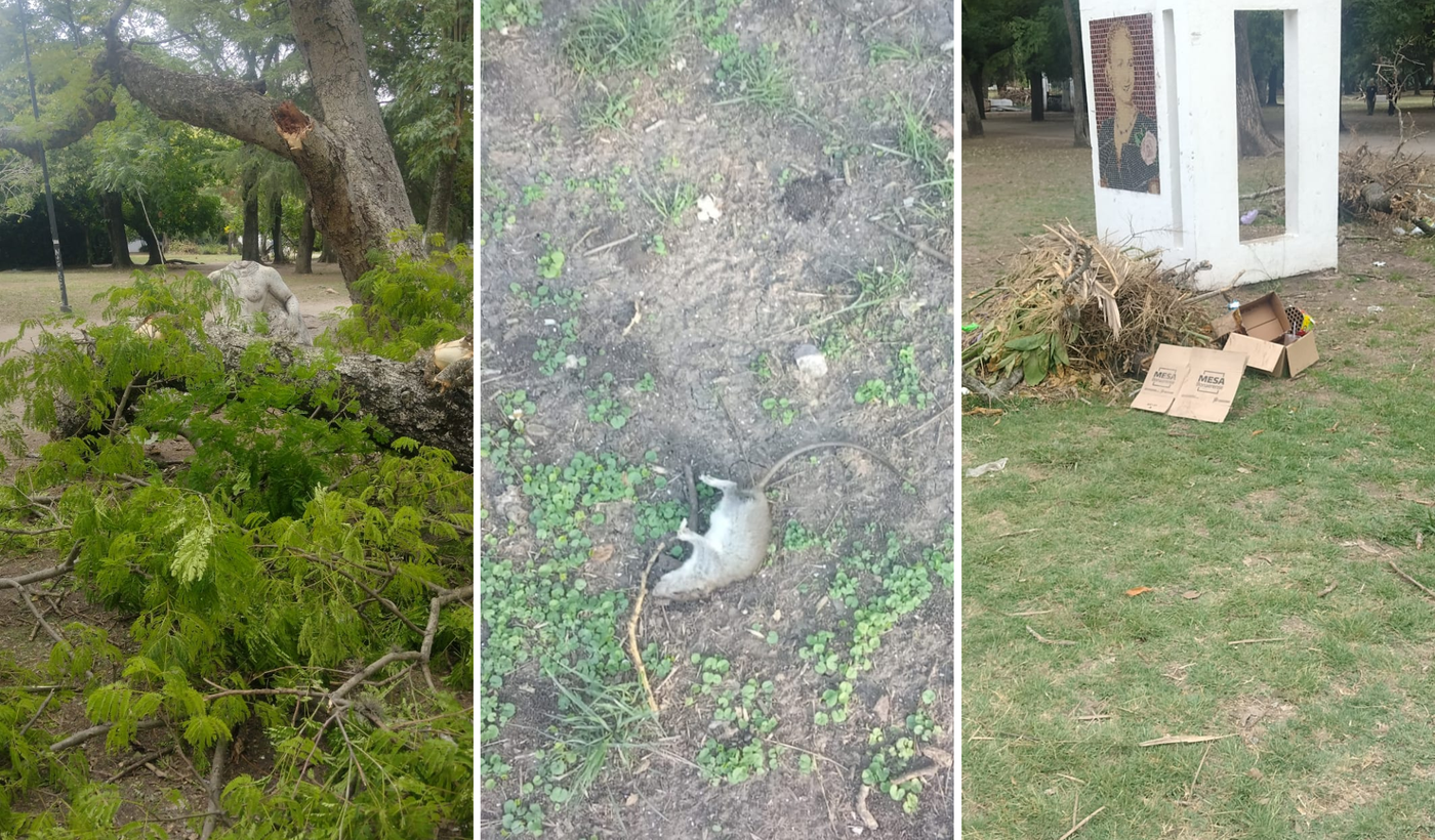 abandono y basura en parque saavedra