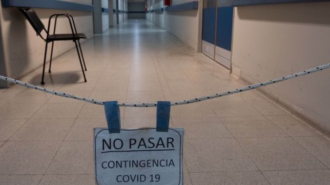 coronavirus en la plata: confirmaron once nuevas muertes y 215 contagios en un dia