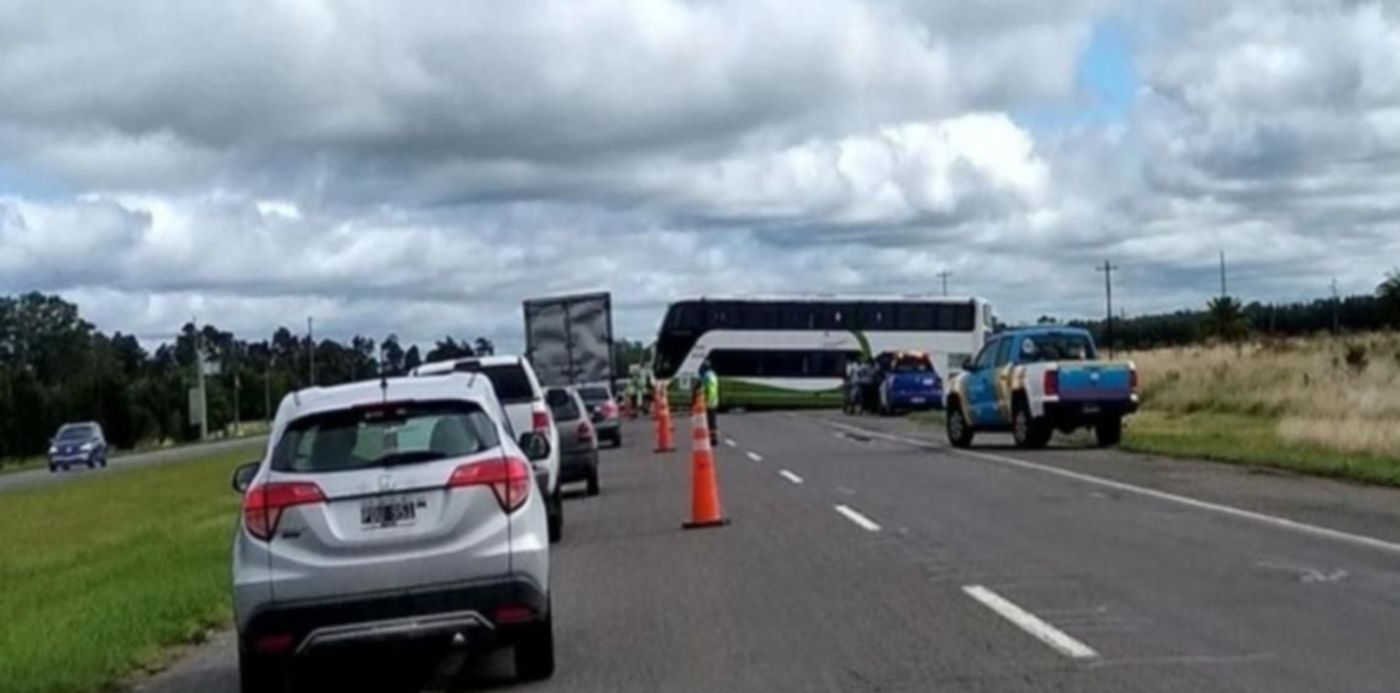 micro - despistó - ruta 2