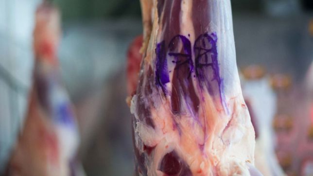 anuncian el programa precios justos carne con cortes un 30% mas baratos