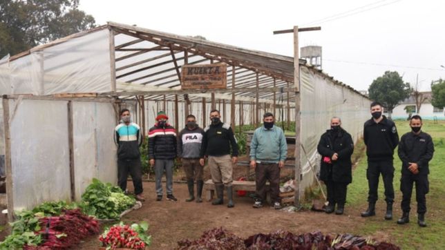 cosechan verduras en una carcel platense y las donan a un hospital