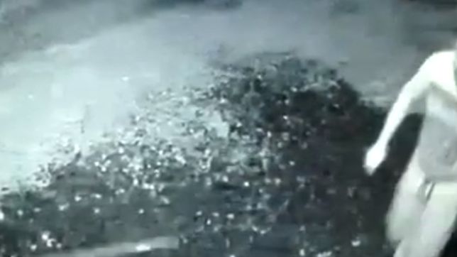 video: quiso entrar a una casa de villa castells, los perros le ladraron y escapo