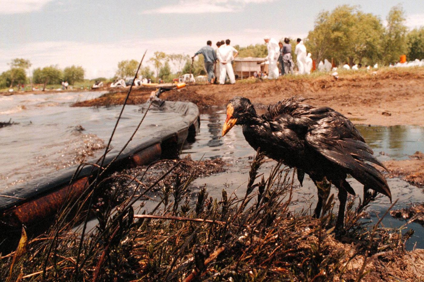 Derrame de Magdalena (1).jpg