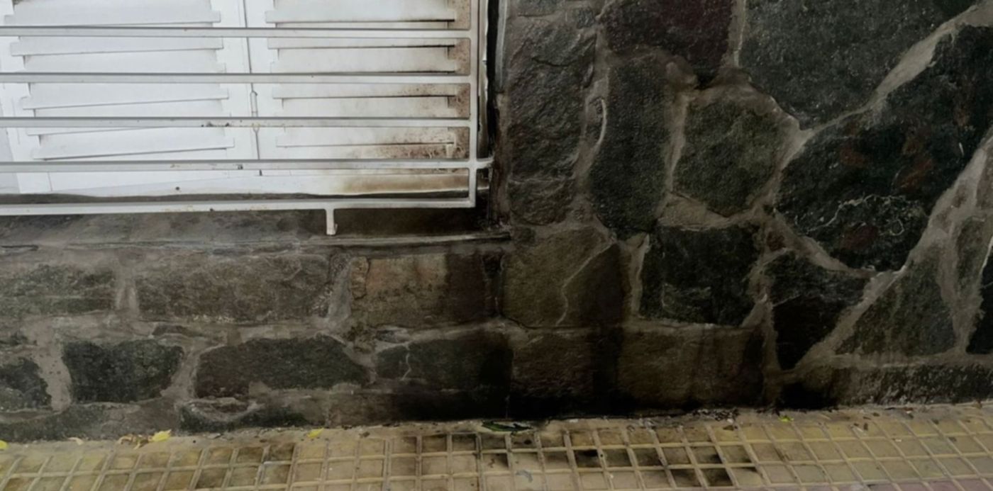 1642076046320.jpg?x= 15&y=289&width=1530&height=765&rotate=0&scaleX=1&scaleY=1&ow=1500&oh=1125&&cw=1920&ch=950