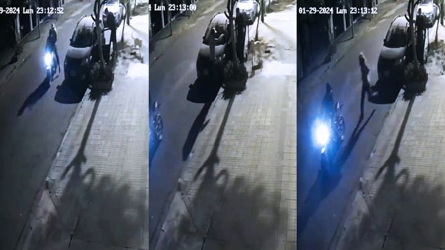 el dramatico ataque de motochorros a un vecino y su perro en la plata