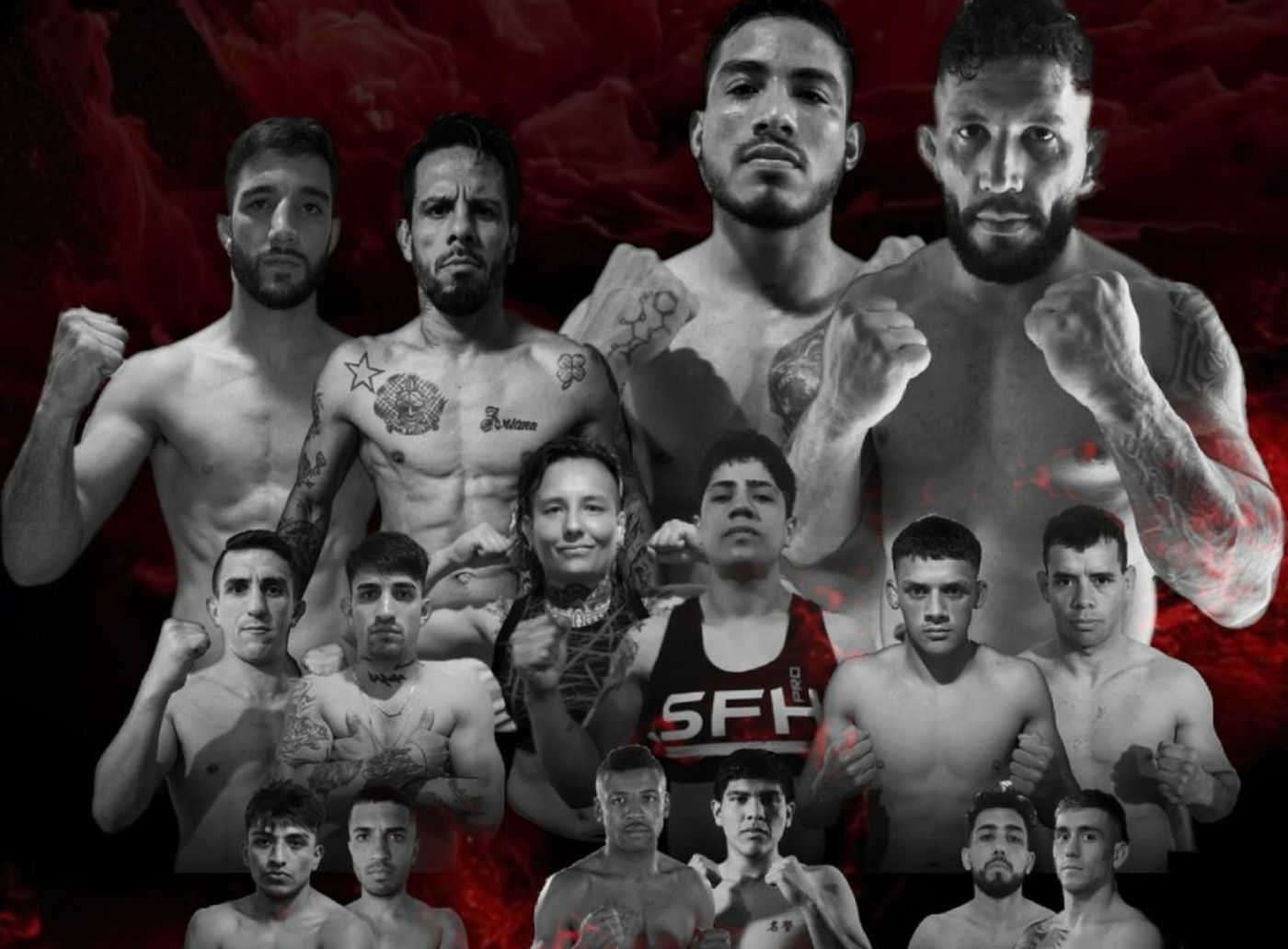 MMA La Plata Brandsen.jpg