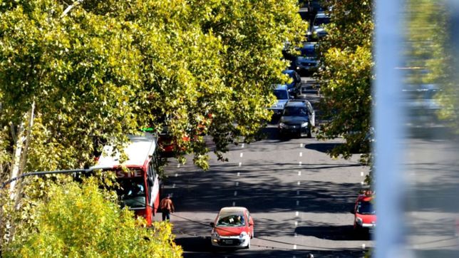 la semana arranco a puro sol en la plata pero ya anuncian lluvias: ¿cuando llegaran?