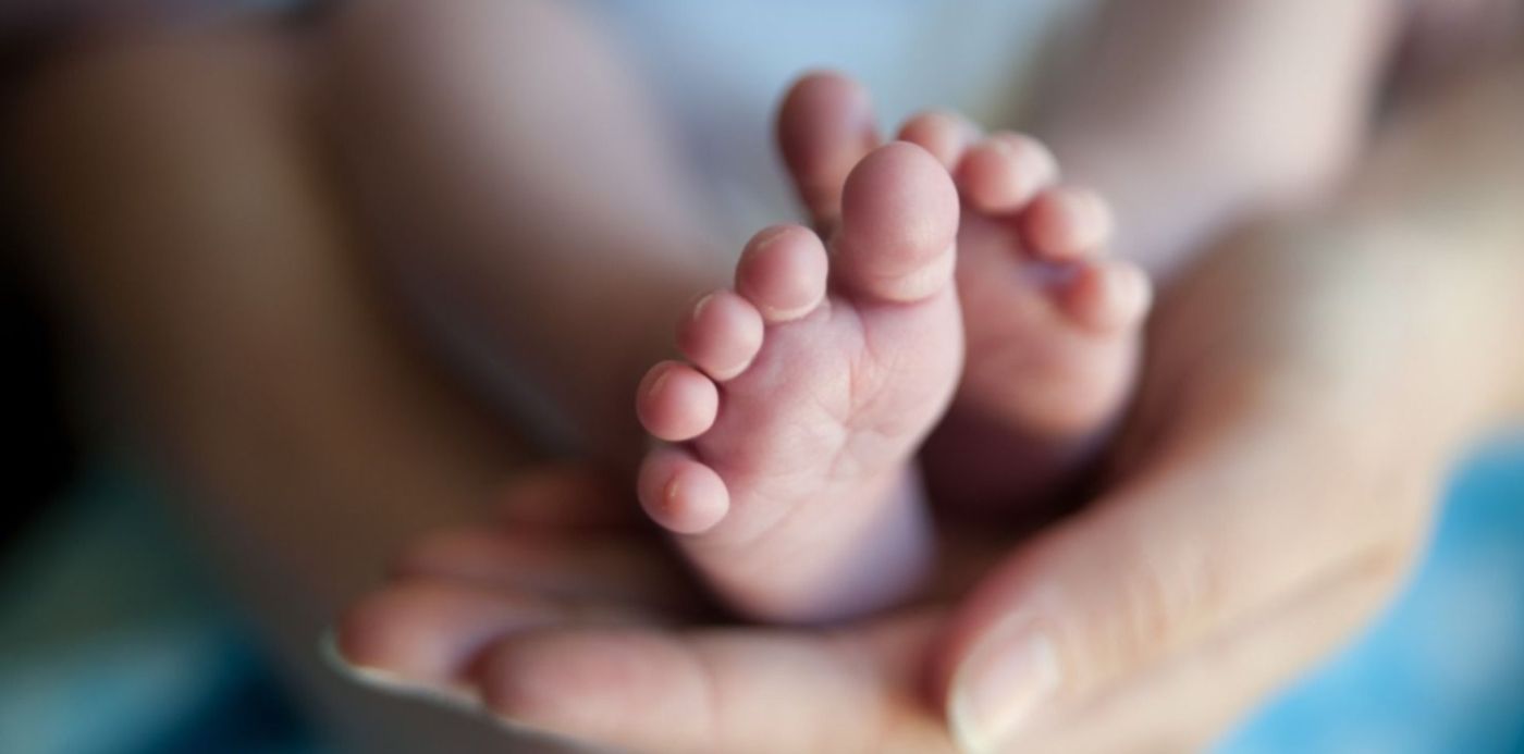 1553802900166.jpg?x=17&y=152&width=1473&height=736&rotate=0&scaleX=1&scaleY=1&ow=1500&oh=997&&cw=1920&ch=950