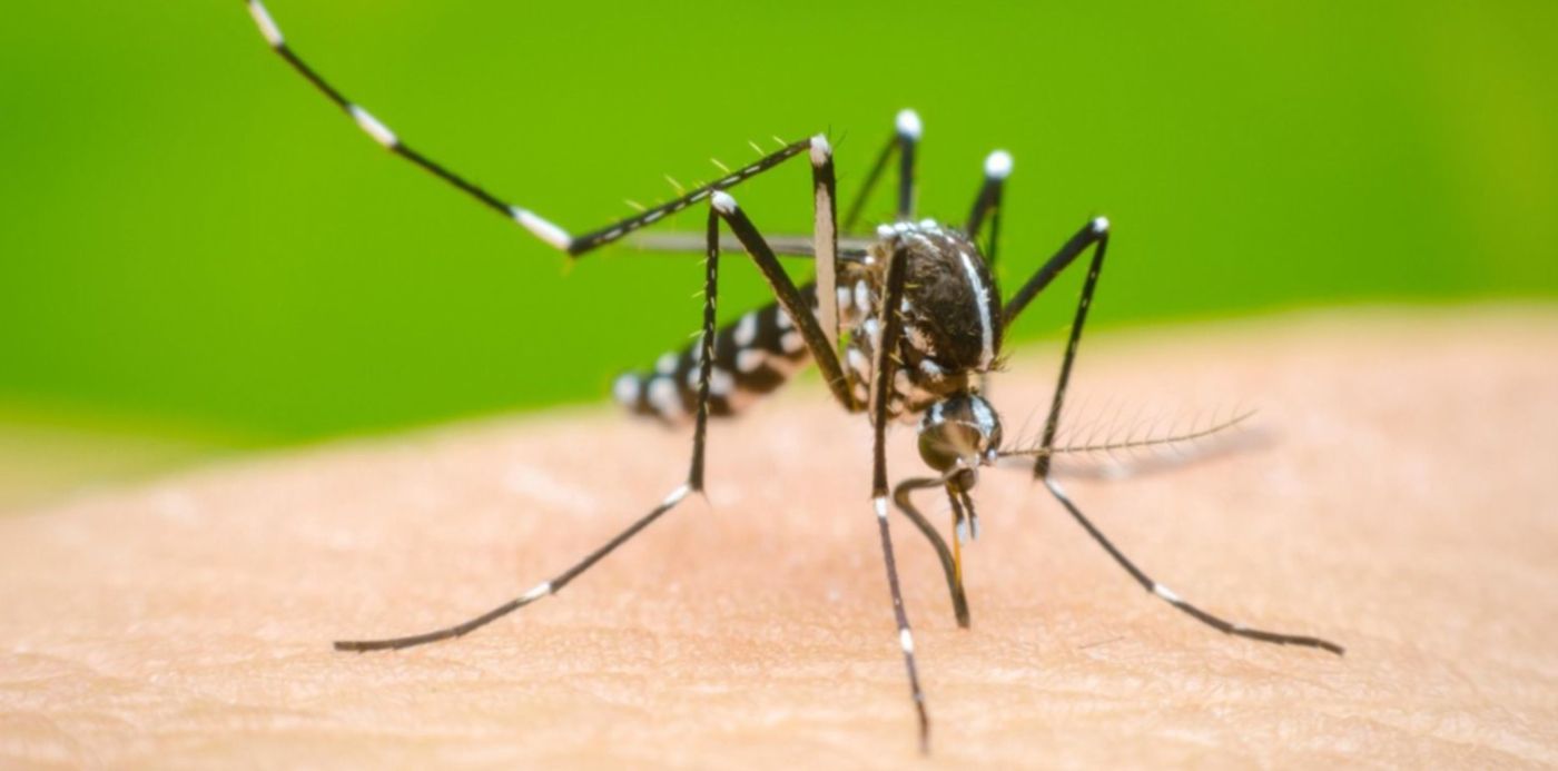 1679962357009.jpg?x=4&y=196&width=1492&height=746&rotate=0&scaleX=1&scaleY=1&ow=1500&oh=993&&cw=1920&ch=950