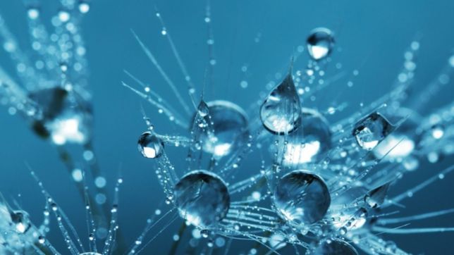 ¿que son las nanoburbujas naturales y como podrian prevenir el covid-19?