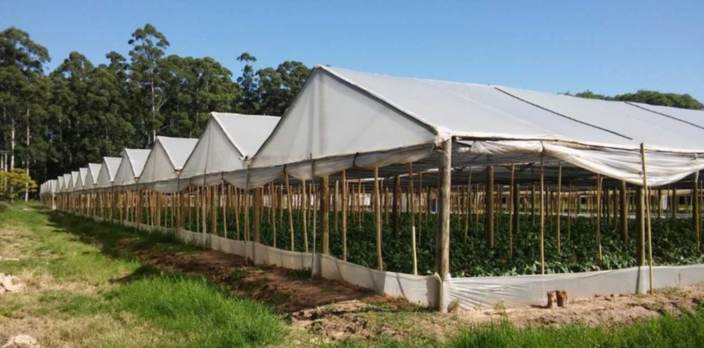 1603220378571.jpg?x=5&y=44&width=1264&height=632&rotate=0&scaleX=1&scaleY=1&ow=1280&oh=721&&cw=1920&ch=950