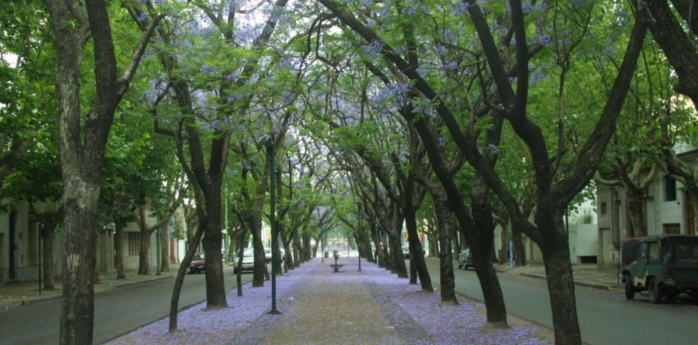 1544181250682.jpg?x= 2&y=6&scaleY=1&oh=734&width=1306&height=653&rotate=0&scaleX=1&ow=1305&&cw=1920&ch=950