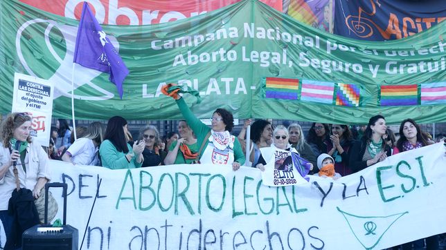 diputados libertarios presentaron un proyecto para derogar el aborto legal