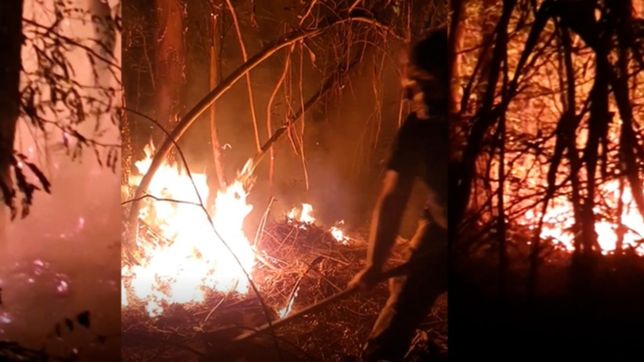 todos los videos del incendio que se desato en el parque pereyra
