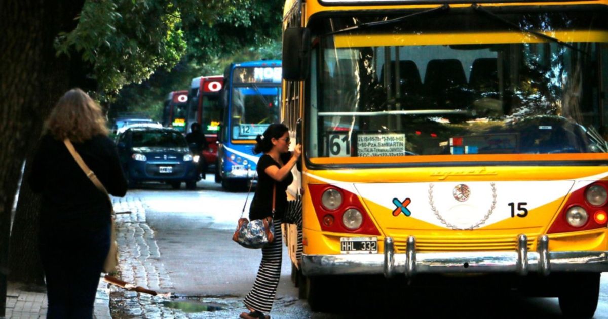 Analizan suspender el servicio de micros en La Plata durante la noche ...