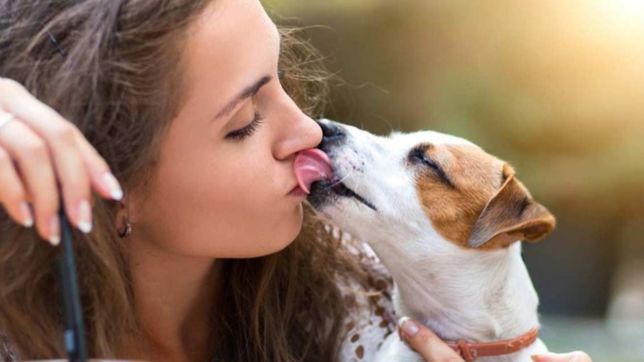 ¿que bacterias superdesarrolladoras podrian transmitirse al besar a las mascotas?