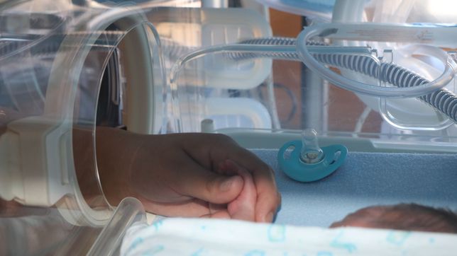 la provincia de buenos aires alcanzo el indice de mortalidad infantil mas bajo de la historia