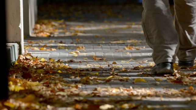 se viene un fin de semana de otono ideal para disfrutar al aire libre