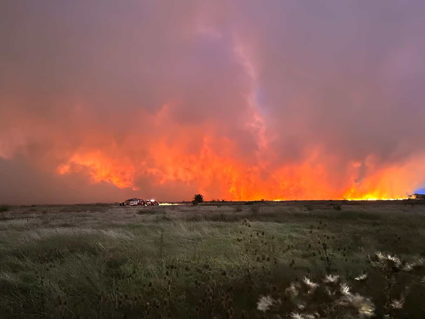Incendio en la reserva de Punta Lara portada.jpg