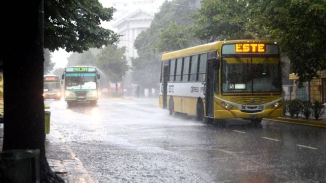 la plata acumulo casi 40 milimetros de agua tras la tormenta: ¿en que barrio llovio mas?