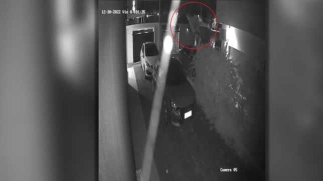 saltaron la pared de una casa de la plata, se llevaron una pileta y quedaron filmados