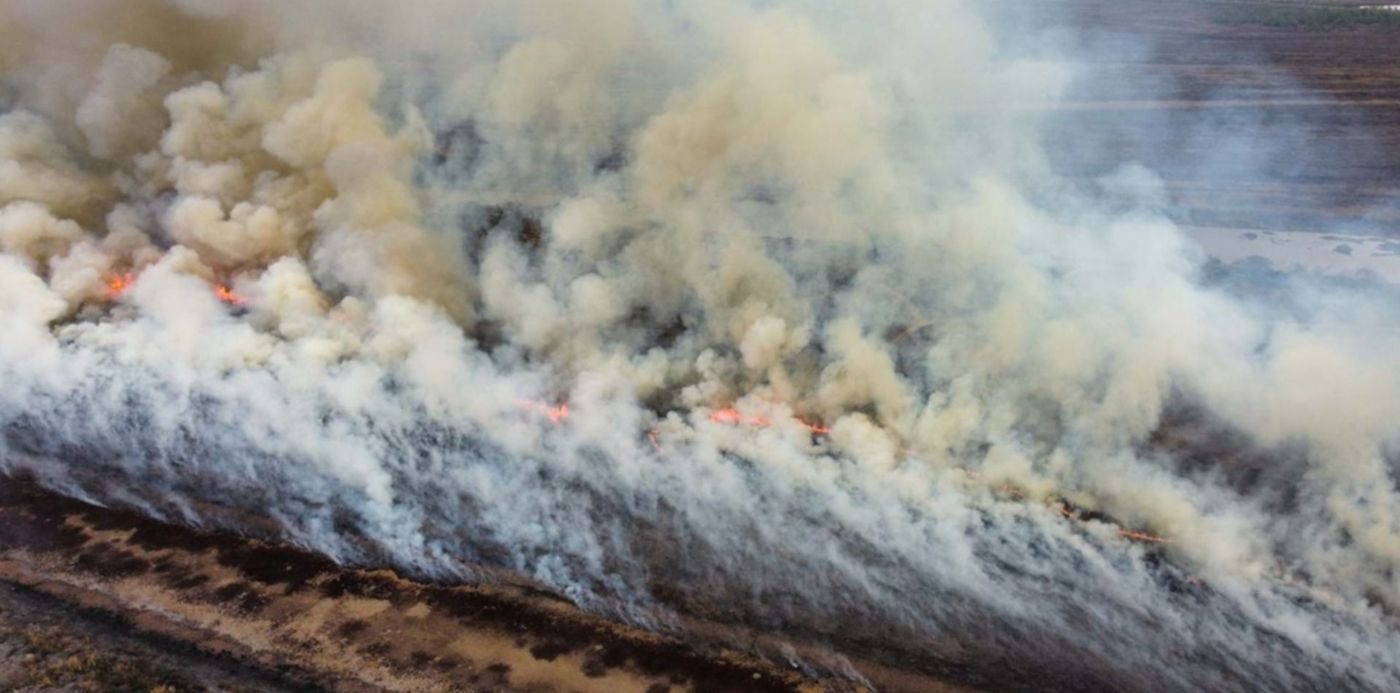 1661114878398.jpg?x=7&y=82&width=1486&height=743&rotate=0&scaleX=1&scaleY=1&ow=1500&oh=843&&cw=1920&ch=950