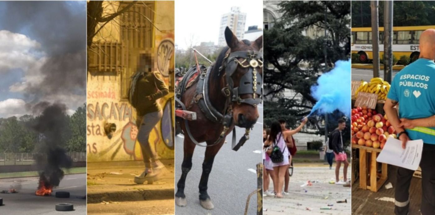 1633625278682.jpg?x=6&y=0&width=1479&height=740&rotate=0&scaleX=1&scaleY=1&ow=1500&oh=742&&cw=1920&ch=950