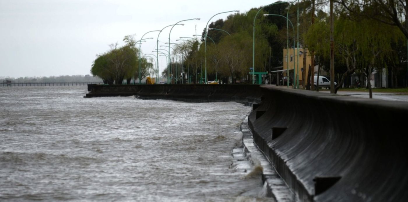 1569962905631.jpg?width=1500&rotate=0&scaleX=1&scaleY=1&ow=1500&oh=897&x=0&y=10&height=750&&cw=1920&ch=950