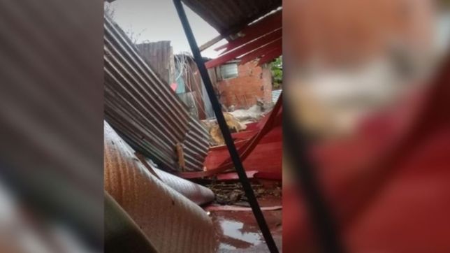 cayo un arbol sobre una casa de tolosa, la destruyo y la familia pide ayuda