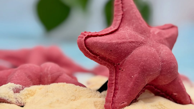 del mar a la olla: la estrella culona del conicet se volvio pasta en la plata y es viral