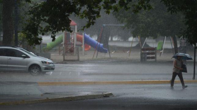se viene una semana inestable y con lluvias en la plata: asi estara el clima dia por dia