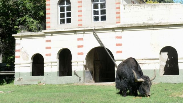 en camino al bioparque, cambia el director del ex zoo de la plata
