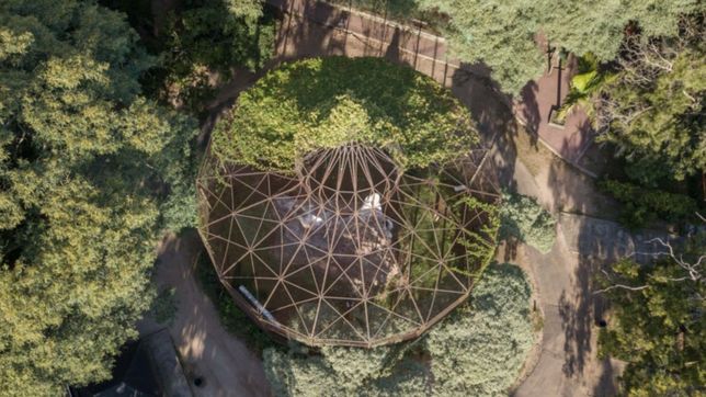 el zoologico de la plata se convertira en bioparque y la reapertura ya tiene fecha